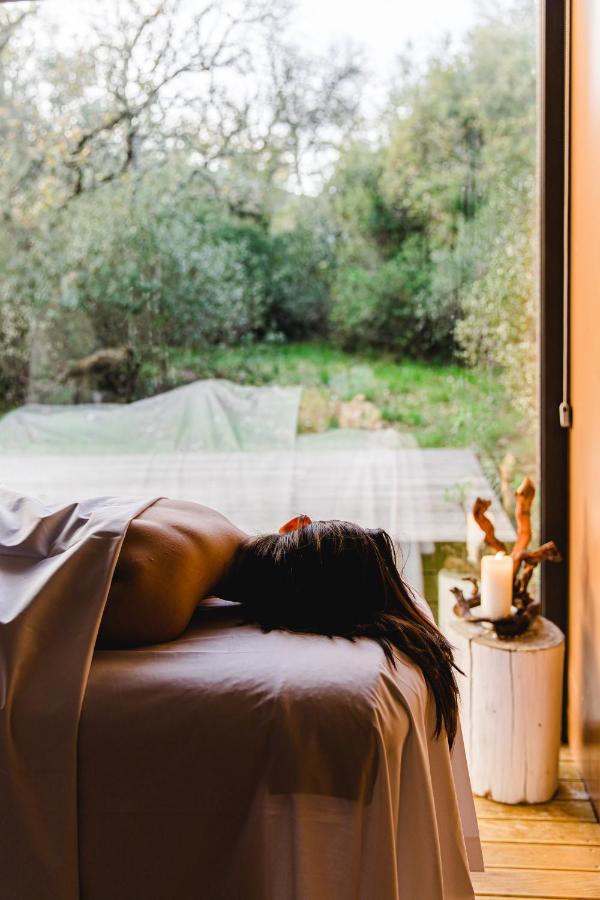 Cooking And Nature - Emotional Hotel Alvados Bagian luar foto