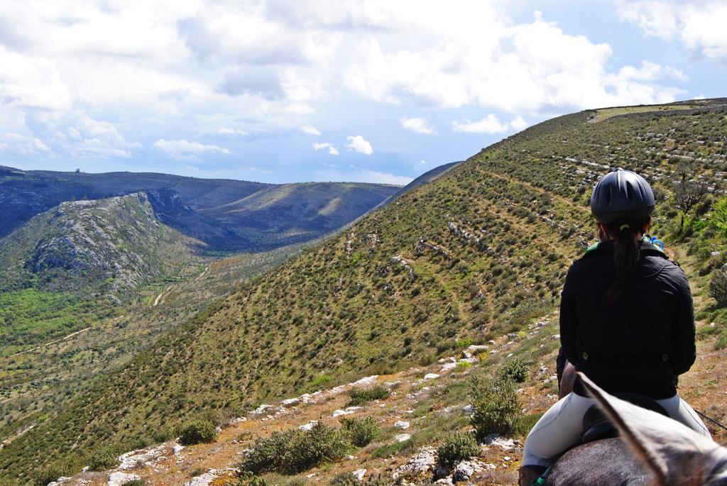 Cooking And Nature - Emotional Hotel Alvados Bagian luar foto