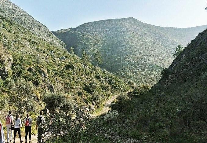 Cooking And Nature - Emotional Hotel Alvados Bagian luar foto